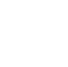 Merion Homes